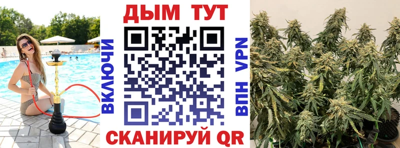 Конопля Новочеркасск