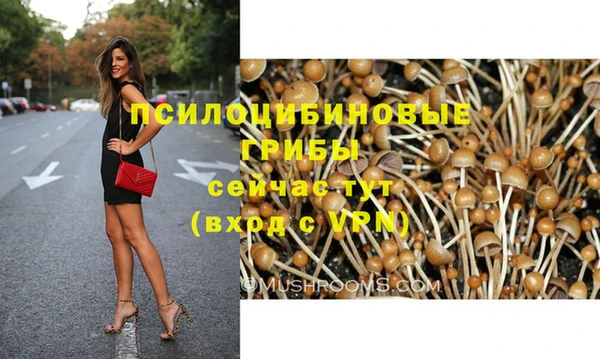 стафф Богданович