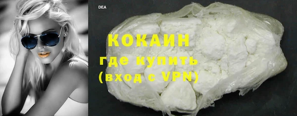 стафф Богданович
