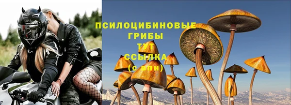 MESCALINE Богородицк