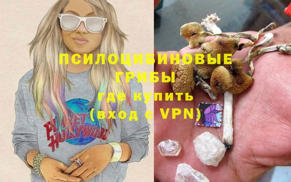 стафф Богданович